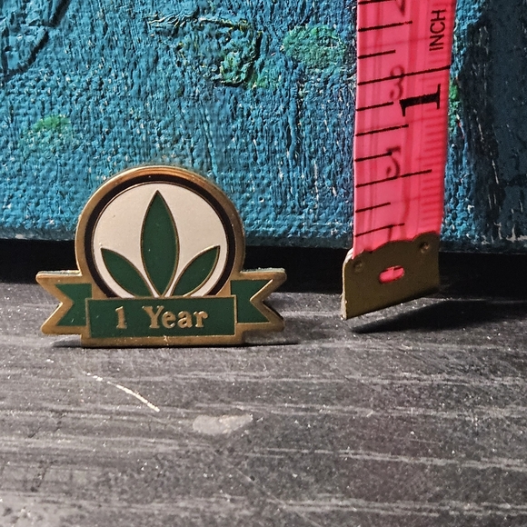 Vintage Herbalife 1 Year Pin - Picture 1 of 1